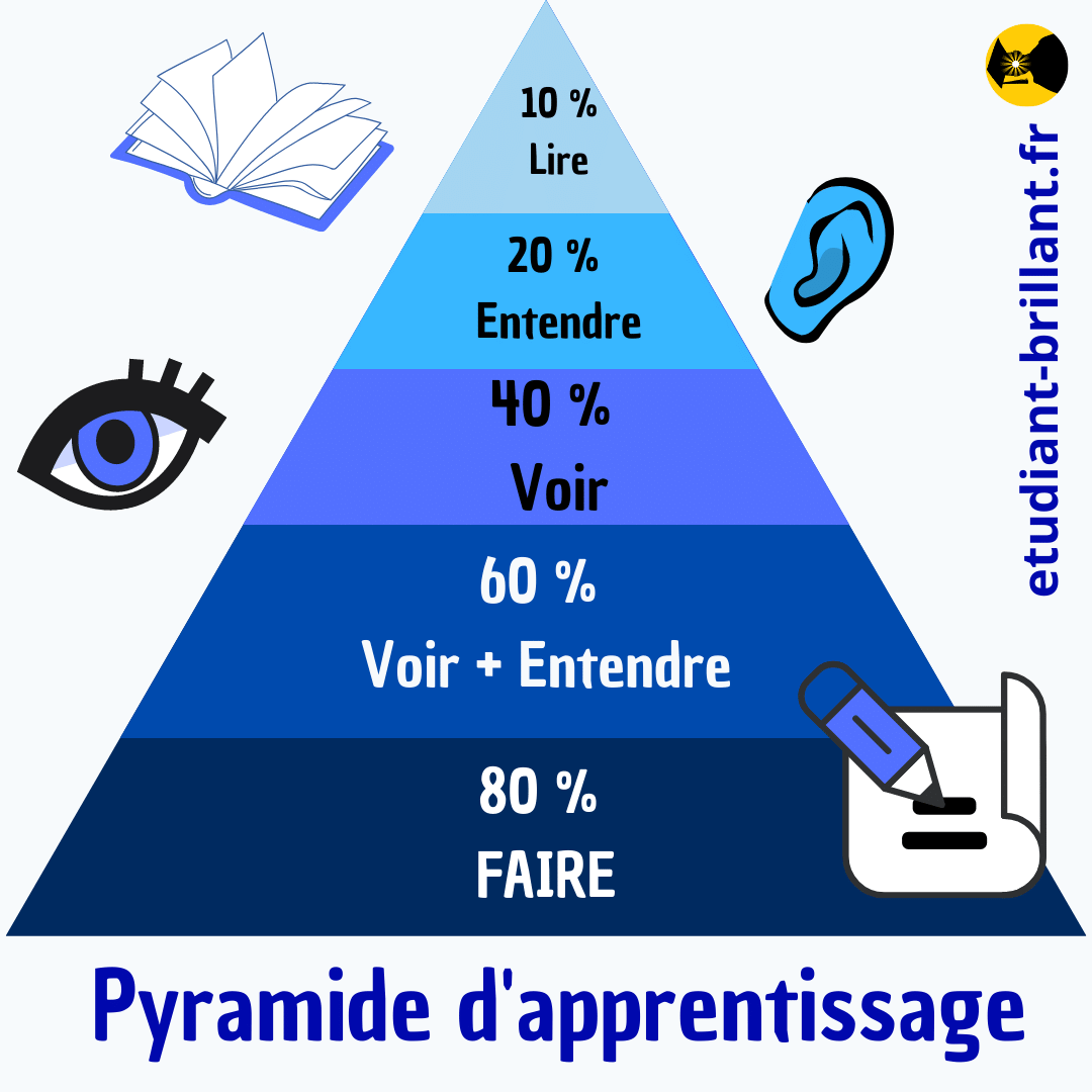 la pyramide de Dale (ou cône d'apprentissage) illustre l'impact des différentes formes d'apprentissage sur la capacité à mémoriser et apprendre une information